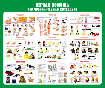 С20-1 Стенд Оказание первой помощи при ЧС (670х800 мм, пластик ПВХ 3 мм, Прямая печать на пластик) - Стенды - Стенды по первой медицинской помощи - магазин ОТиТБ - охрана труда и техника безопасности