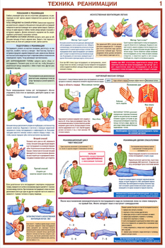ПС02 Оказание первой помощи пострадавшим (ламинированная бумага, a2, 6 листов) - Плакаты - Медицинская помощь - магазин ОТиТБ - охрана труда и техника безопасности